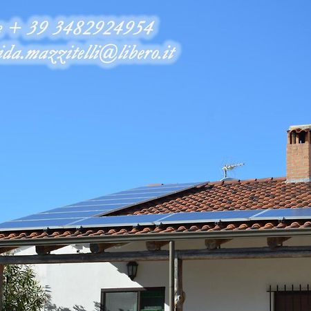 Azienda Agrituristica Carida Zaccanopoli Екстер'єр фото