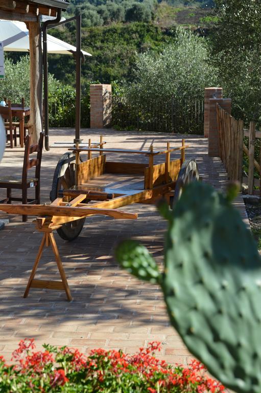 Azienda Agrituristica Carida Zaccanopoli Екстер'єр фото