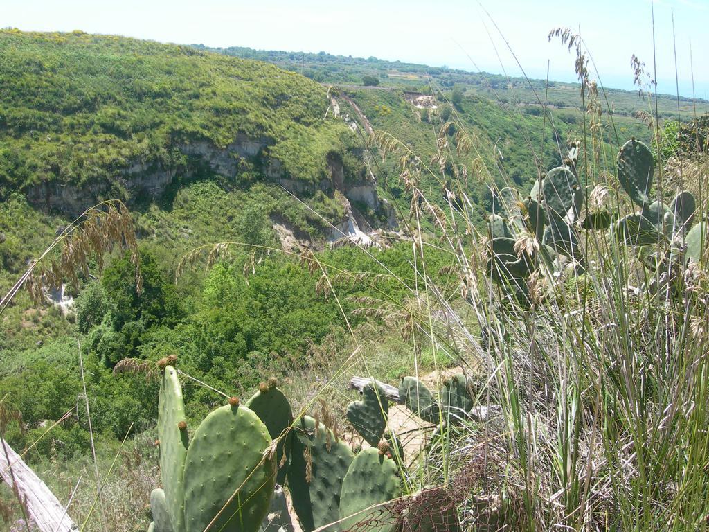 Azienda Agrituristica Carida Zaccanopoli Екстер'єр фото